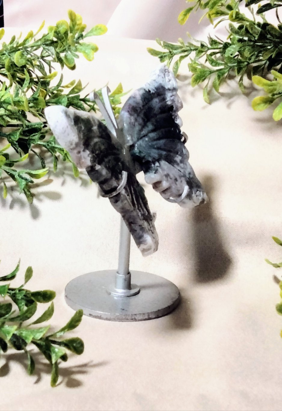 Moss Butterfly Wings on Stand - Moonsence