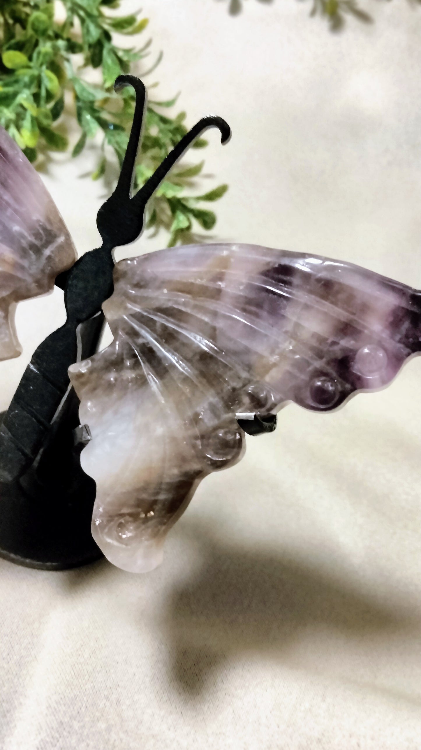 Dream Amethyst Butterfly on Stand - Moonsence