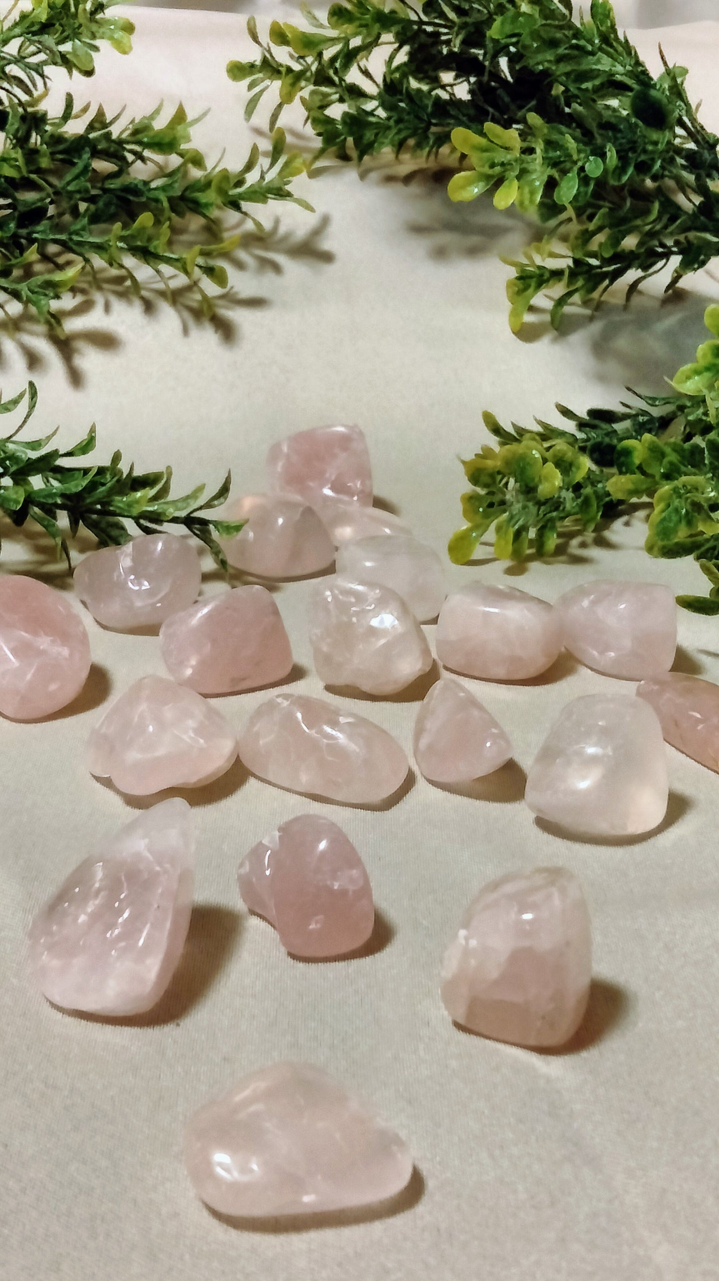Rose Quartz Tumbled Stone - Moonsence