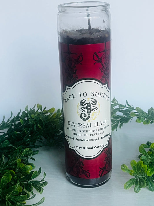 Back to Source- Reversal Ritual Candle with Obsidian and Herbs
