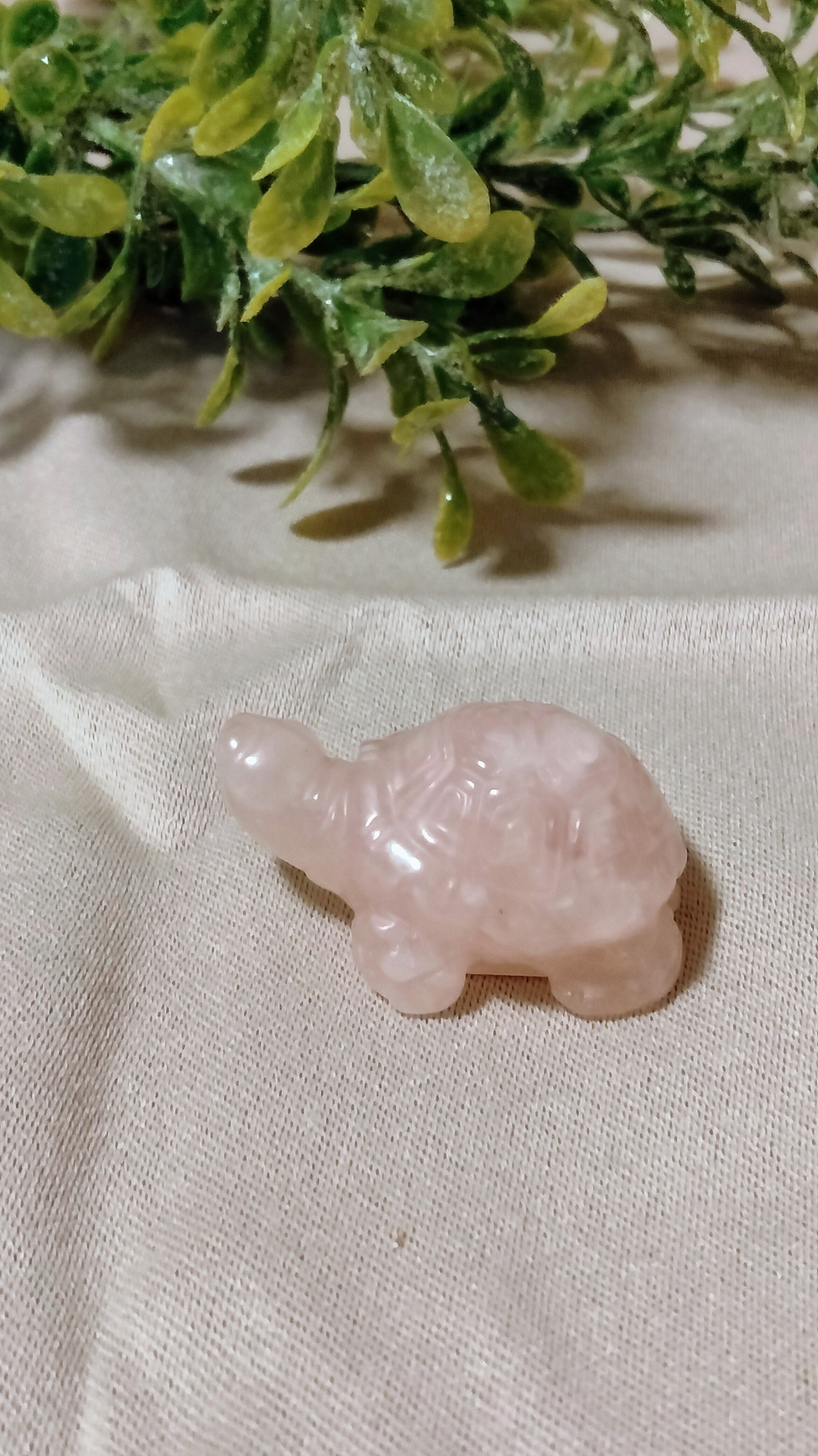 Turtle Crystal Carving - Moonsence